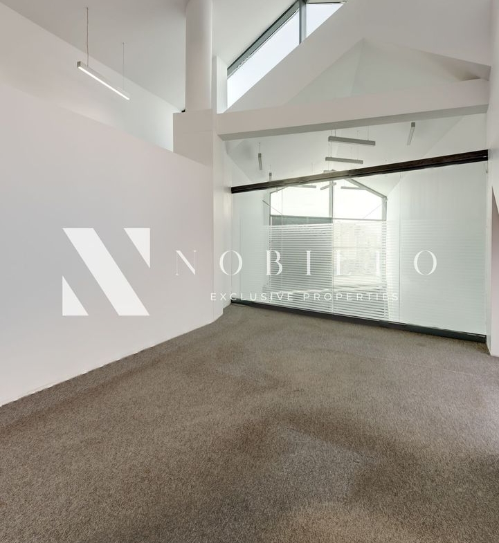 Commercial space / office for rent Piata Victoriei CP168552100 (22)
