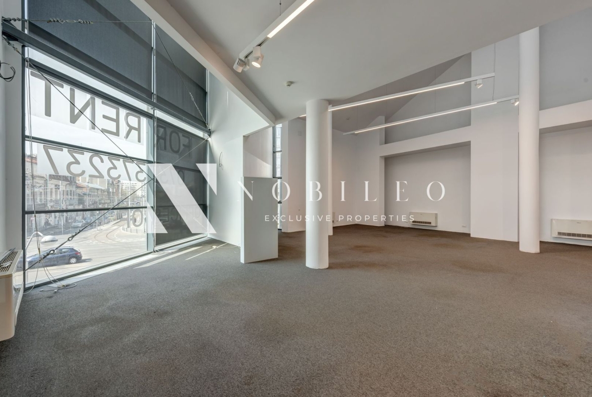 Commercial space / office for rent Piata Victoriei CP168552100 (25)