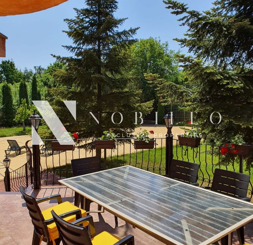 Villas for rent Iancu Nicolae CP174660400 (19)