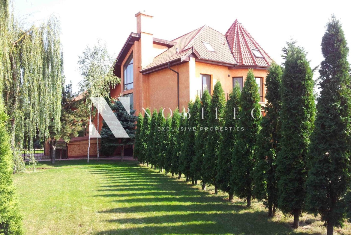 Villas for rent Iancu Nicolae CP174660400 (24)