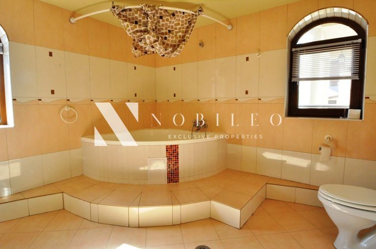 Villas for rent Iancu Nicolae CP30026800 (14)